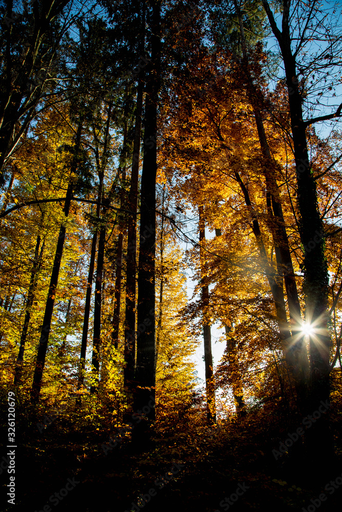 Herbstfarben