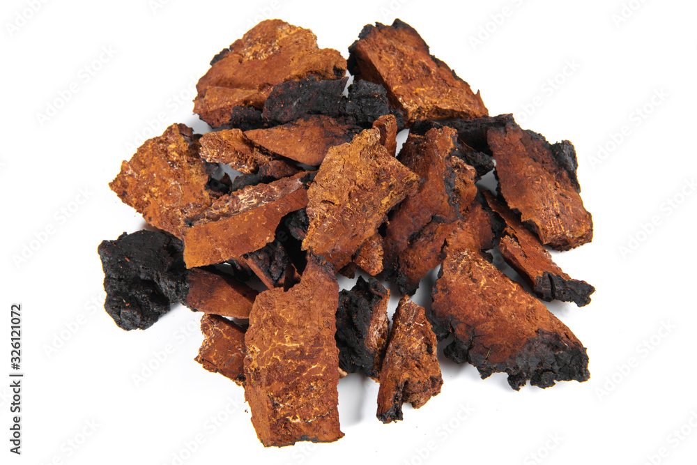 Chaga Mushroom Isolated Pieces - Natural Minerals Chaga Mushroom Isolated Pieces - Natural Minerals