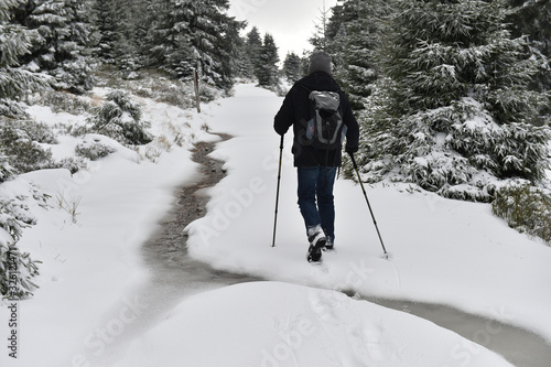 Wanderer im Harz photo