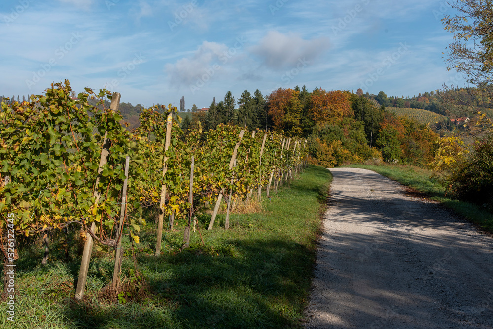Wine Road, Svečina, Slovenia