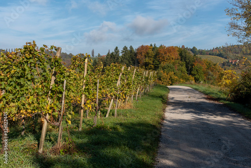 Wine Road, Svečina, Slovenia