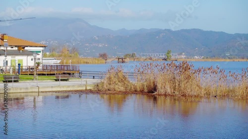 Torre del Lago, Viareggio, Lucca, Tuscany: view of Massaciuccoli lake and reflections of birds near the dock. Gimbal ProRes 422 graded from SLog2 cinematic 4K footage