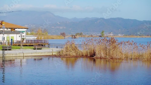 Torre del Lago, Viareggio, Lucca, Tuscany: view of Massaciuccoli lake and reflections of birds near the dock. Gimbal ProRes 422 graded from SLog2 cinematic 4K footage photo