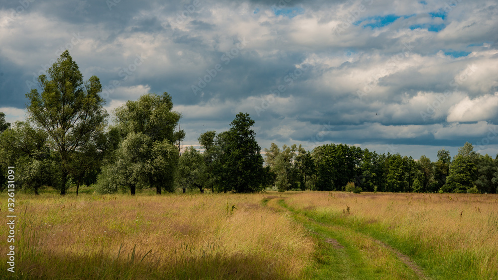 Forest, clouds, meadow and dirt road.