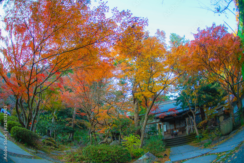 紅葉と鎌倉の街並み