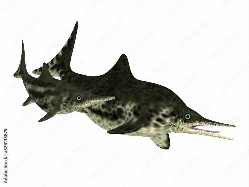 Fototapeta premium Stenopterygius Mother and Calf - Stenopterygius was an marine reptile that swam in the seas of Europe during the Jurassic Period.