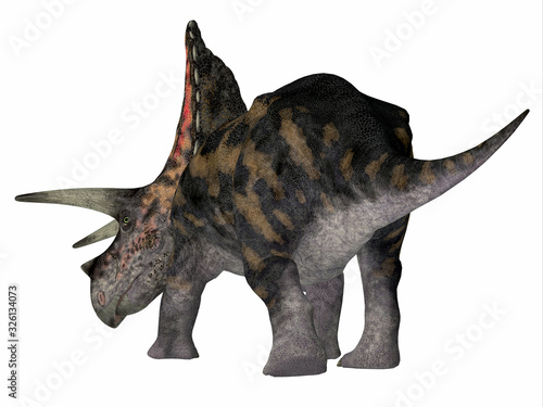 Torosaurus Dinosaur Tail - Torosaurus was a horned herbivorous Ceratopsian dinosaur that lived in North America during the Cretaceous Period. © Catmando