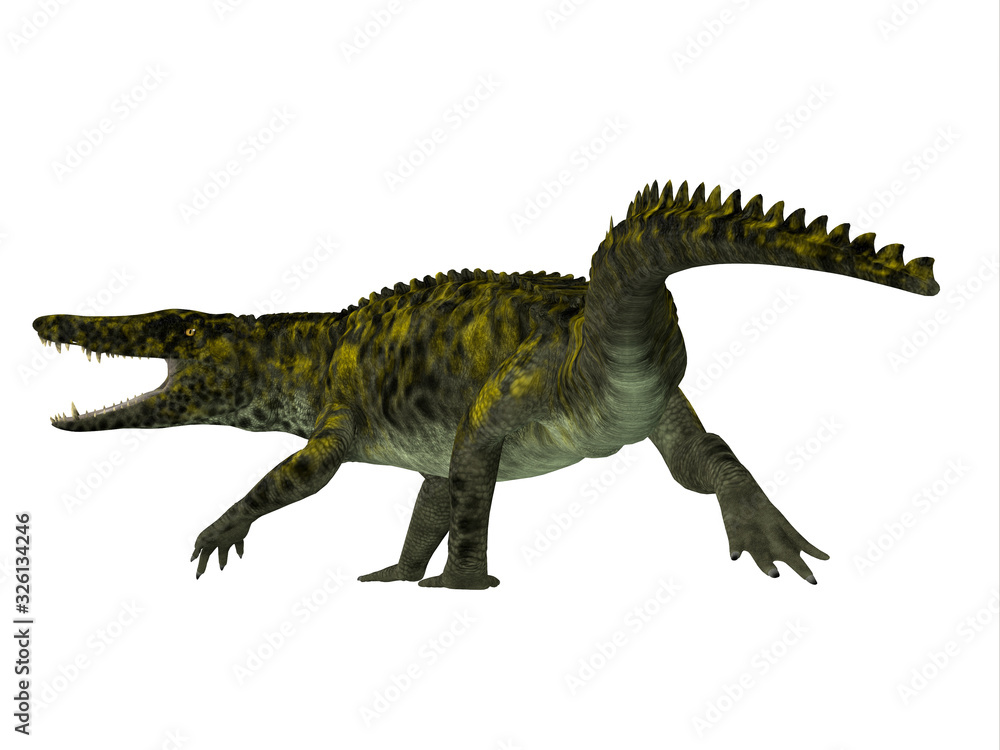 Uberabasuchus Reptile Tail - Uberabasuchus was a carnivorous reptile crocodile that lived in Brazil during the Cretaceous Period.