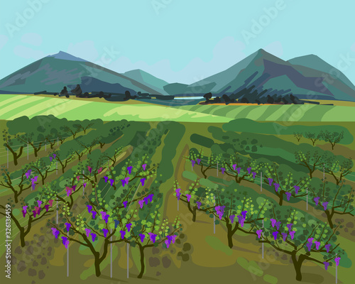 Landscape with vineyard, mountains on horizon and blue sky in impressionistic manner