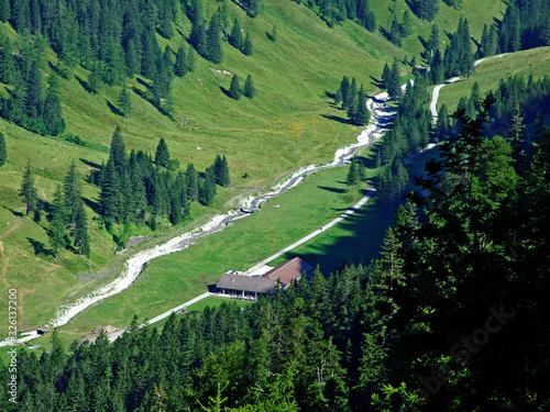 Valünerbach (Valunerbach or Valuenerbach) stream in the Saminatal alpine valley and in the Liechtenstein Alps - Steg, Liechtenstein photo