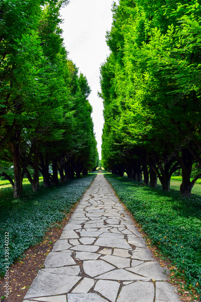 A beautiful old planting of rows of mature Hornbeam trees, known as an allee, suggests the concept of a journey or path.