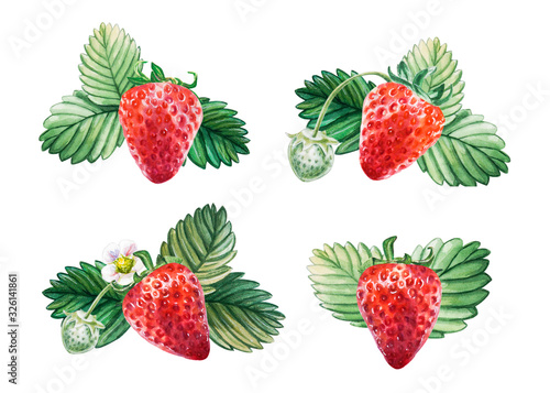 Watercolor set of red juicy strawberries with leaves. Hand drawn food illustration. Fruit print. For postcards, packages, cards, logo, desserts. Summer sweet and bright fruits and berries.