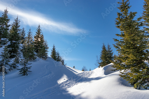 Wallpaper Mural Winderwanderung im Tiefschnee in den Alpen Torontodigital.ca