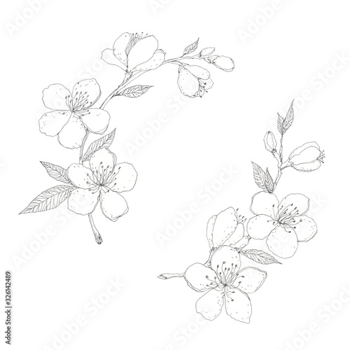 Spring almond, cherry, sakura, peach blooming tree branch hand drawn with black ink. Vintage floral elements for spring design. Botanical frame.