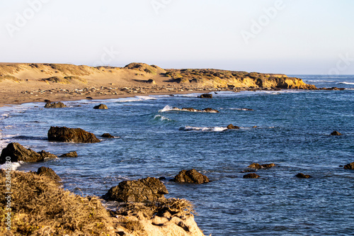  Elephant seals on the beach and ocean waves