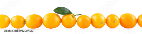 Line of kumquats