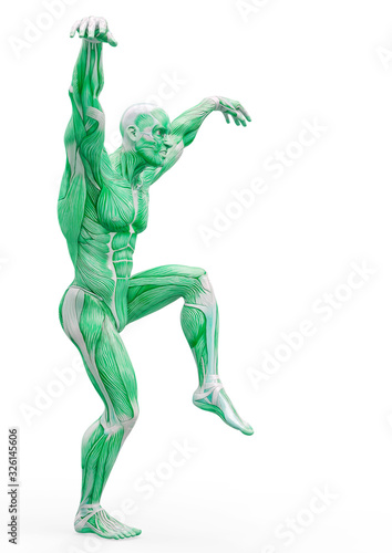 muscleman anatomy heroic body doing a karate pose in white background