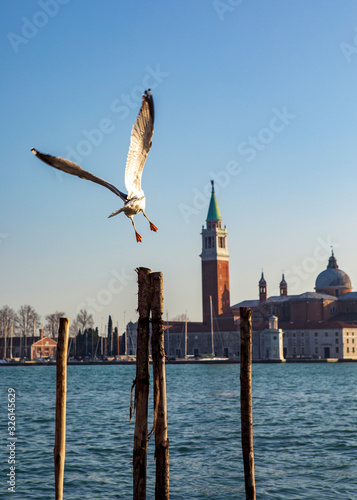 in volo sulla laguna