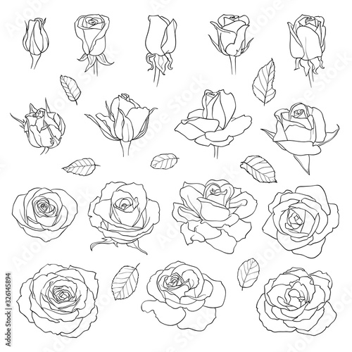 Vector set of roses. Black hand-drawn flowers isolated on white background. Can use for wedding invitations