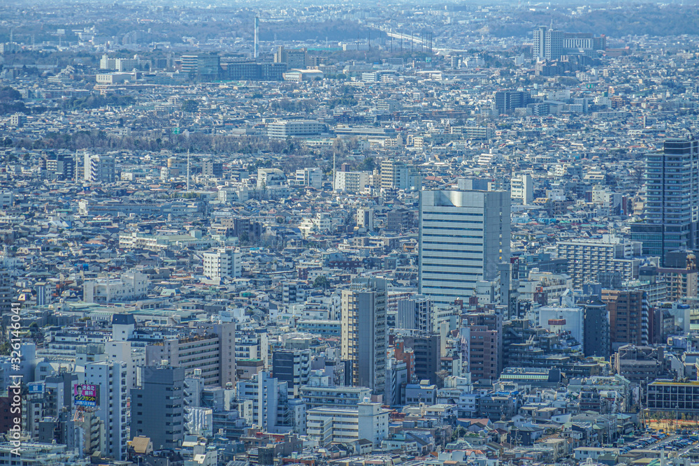 東京都庁の展望台から見える東京の街並み