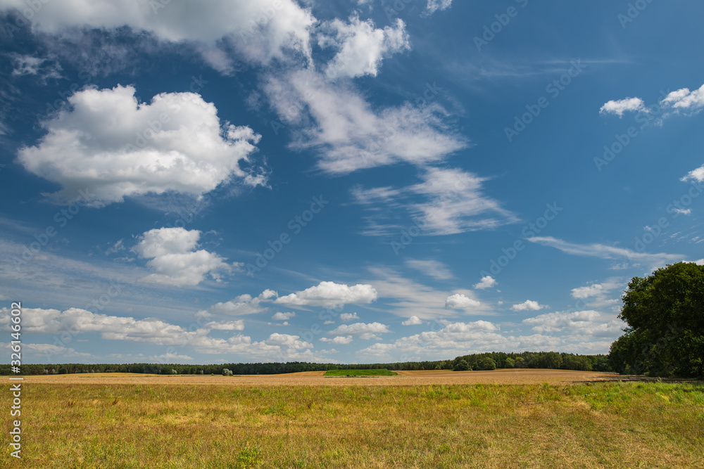 Sommerwiesen