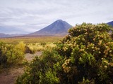 Ruta de los salares y piedras volcanicas en San Pedro de Atacama