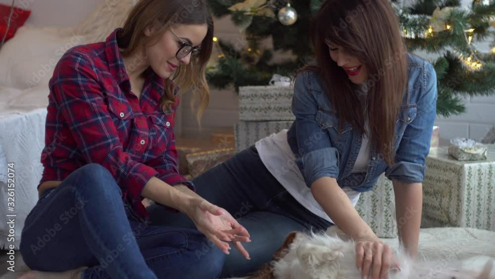 Two happy women with dog near Christmas tree Two happy women with dog near Christmas tree