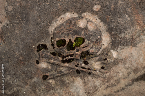 Concrete Skull