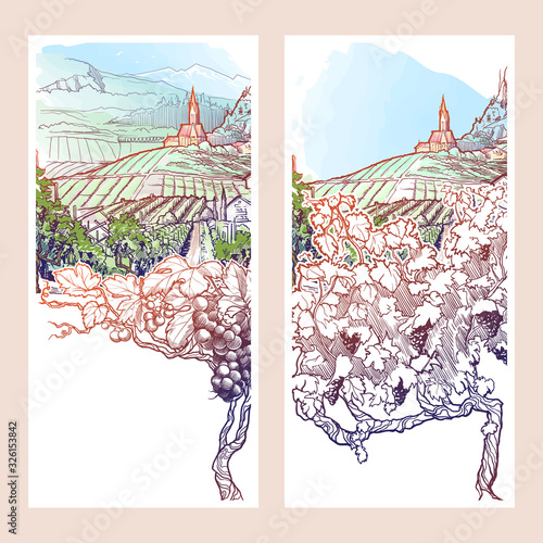 Vinyard in Tirol Alps, Austria. Set of two vertical banners. Vintage design. Linear sketch on a watercolor background. EPS10 vector illustration