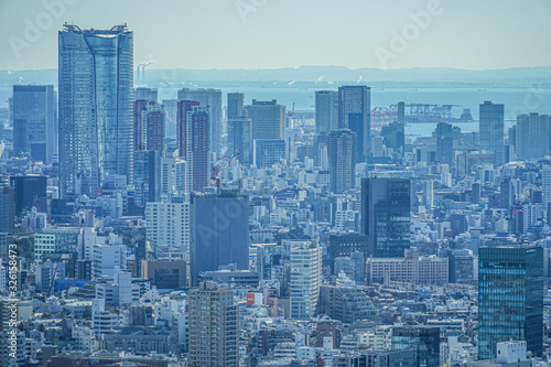 東京都庁の展望台から見える東京の街並み