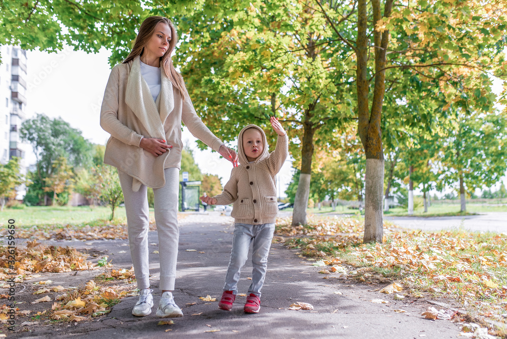 Woman mom walks with the child a boy 3-5 years old. Autumn park in the city. Background trees walkway leaves on grass. Casual warm clothes. Walk in the city. Parenting care.