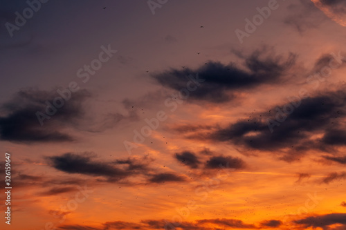 Flock of seagulls flying across colorful sunset sky