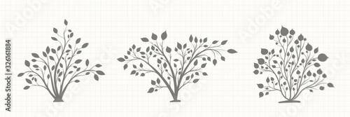 Silhouette of a bush plant in a gray tone on a notebook page in vintage style on a light background