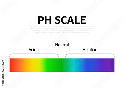 The Ph scale universal Indicator ph Color Chart diagram. Vector illustration with ph scale.