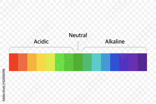 The Ph scale universal Indicator ph Color Chart diagram. Vector  illustration with ph scale. Stock Vector | Adobe Stock