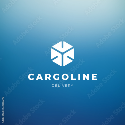 Blue vector logo with cube sign on blue background. Corporate brand for cargo and delivery company.