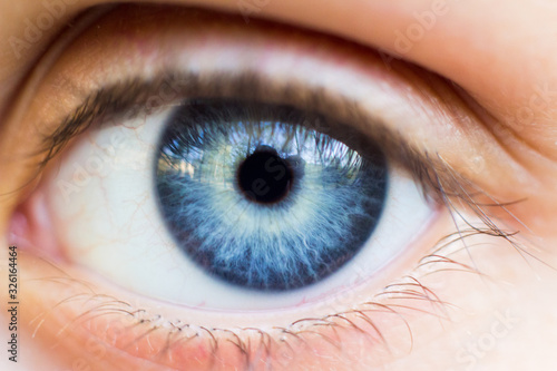  Macro shot of a blue eye
