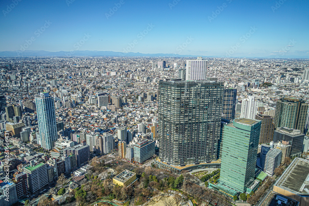 Fototapeta premium 東京都庁の展望台から見える東京の街並み