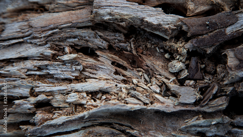 Relief texture background of the brown bark of a tree. Wallpaper for device Relief texture background of the brown bark of a tree. Wallpaper for device