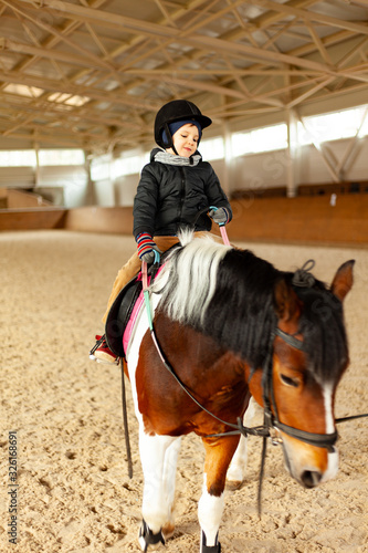 young jockey boy riding horse, horseback training on manege, lesson for young jockey in equestrian school or club, pet animal
