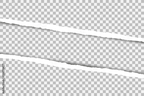 Gray paper torn. Vector illustration. A sheet of paper.