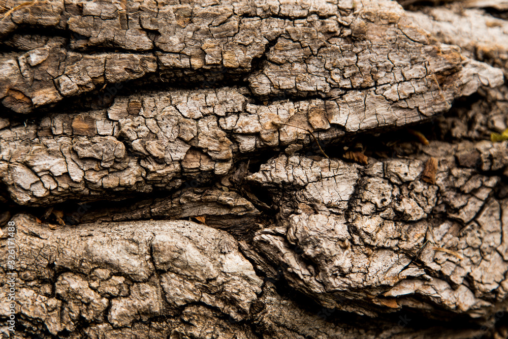 Relief texture background of the brown bark of a tree. Wallpaper for device