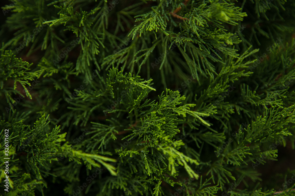 Christmas frame on the background of the Christmas tree, New Year theme. wallpaper fo your device Christmas frame on the background of the Christmas tree, New Year theme. wallpaper fo your device
