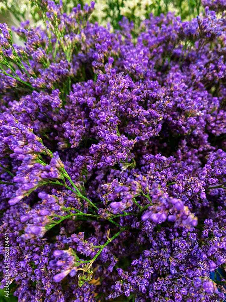 Closeup of beautiful violet flowers background for wedding concept. Mobile vertical photo