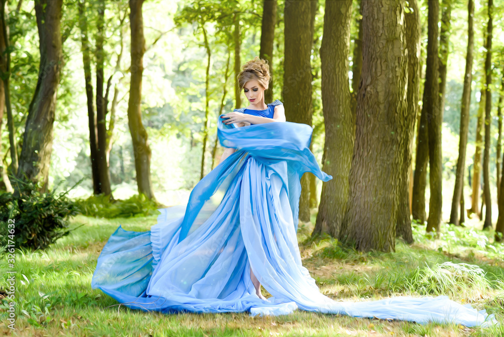 Fototapeta premium Fairytale