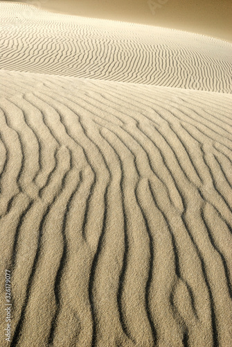 Migrating sand dunes formations in Denmark, Råbjerg mile.