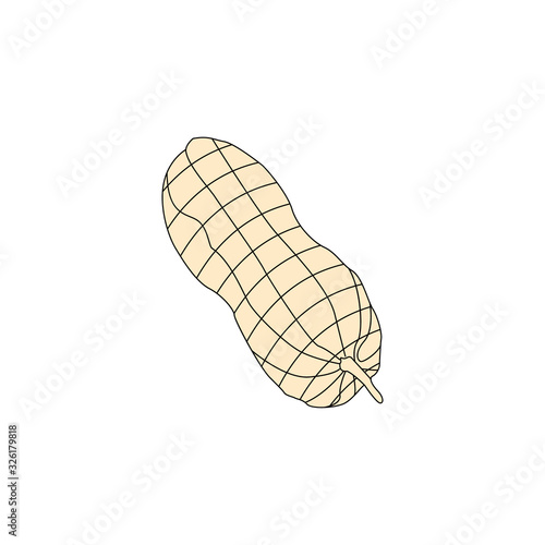 Fototapeta Flat illustration peanut vector eps 10