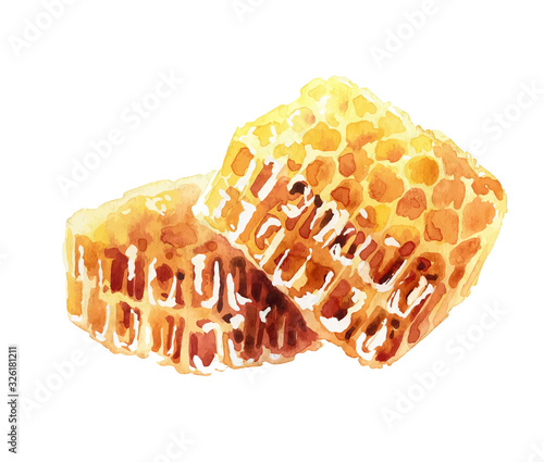 Watercolor honeycombs on white background