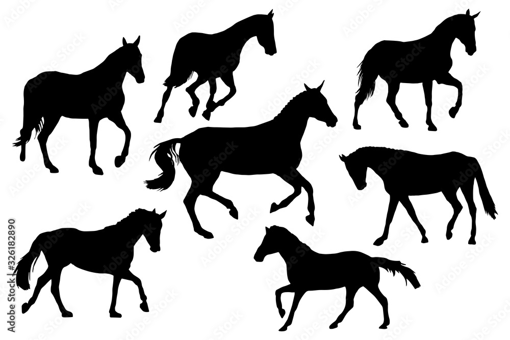 Obraz premium Race horses silhouettes set on white background