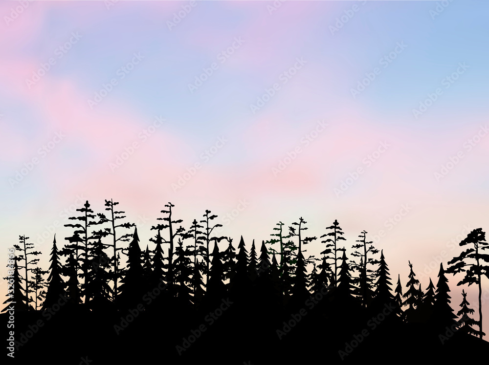 Spruce and pine forest on the hill under the shadows. Silhouette sunset time black and white vector illustration with blue and pink sky.